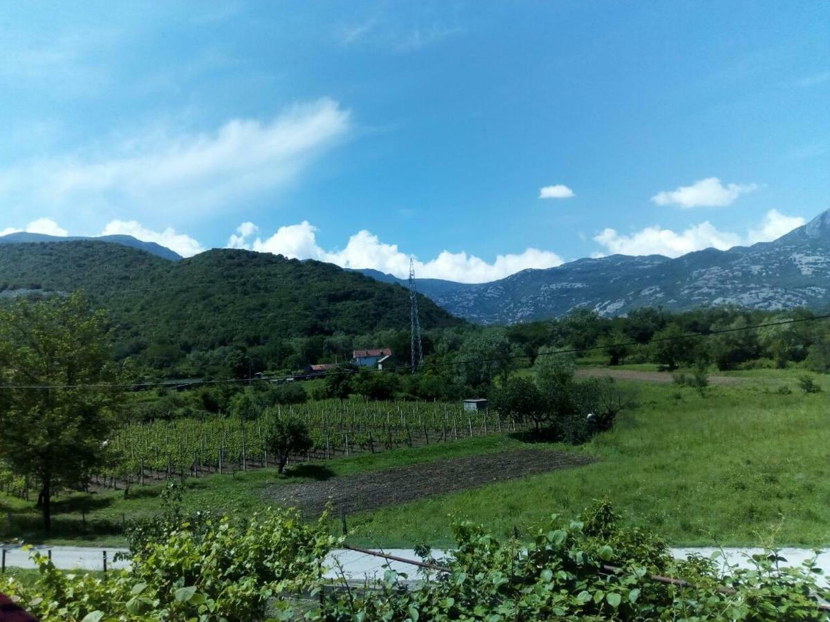 Studio And Winery Kalimut ヴィルパザル エクステリア 写真